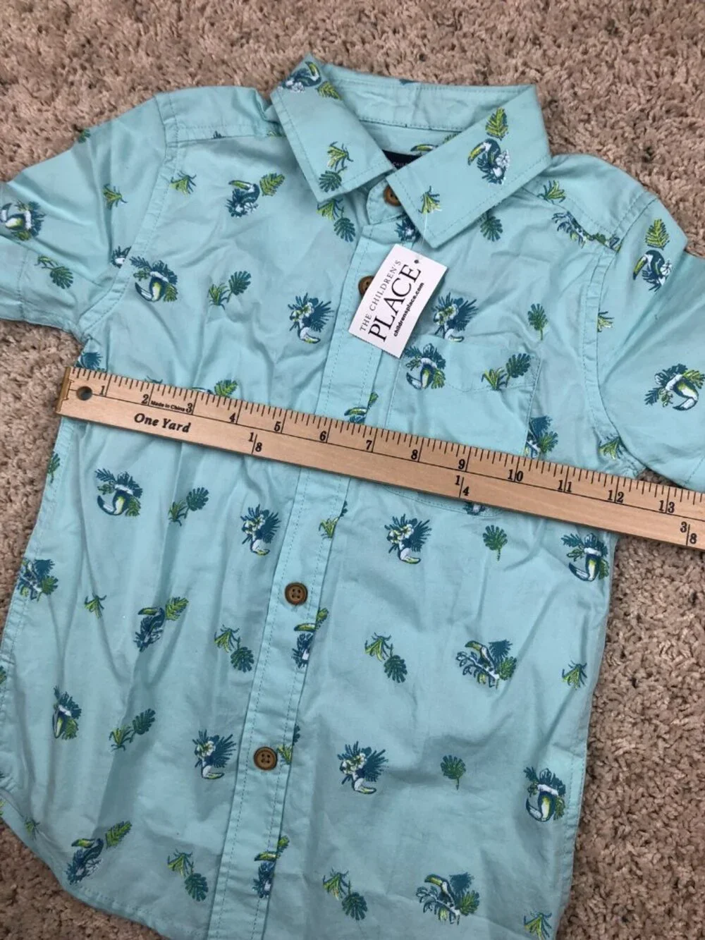 The Children’s Place Boys Size 4T (fits 4/5) Blue Aqua Button Up Shirt Parrots
